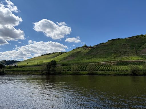 Grüne Hügel mit Weinbergen und einem ruhigen Fluss unter blauem Himmel und Wolken.